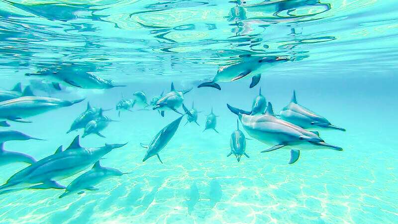 Best Places To Visit in Marsa Alam Egypt