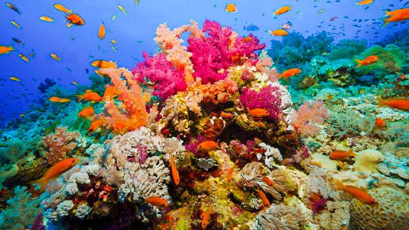Best Places To Visit in Marsa Alam Egypt