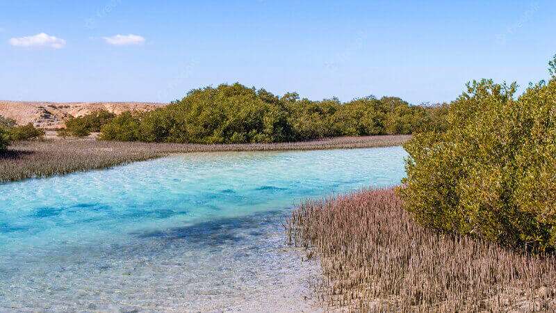 Best Places To Visit in Marsa Alam Egypt