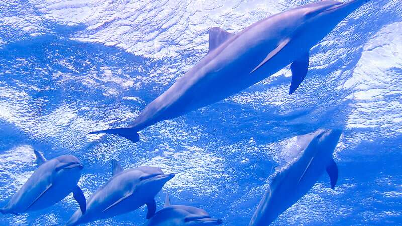 Best Places To Visit in Marsa Alam Egypt