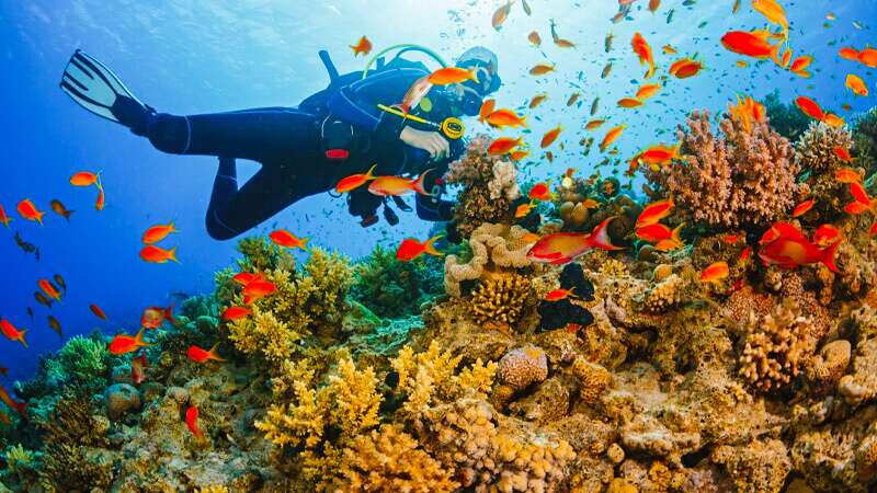 Best Places To Visit in Marsa Alam Egypt